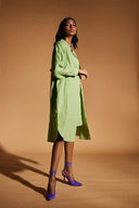 Pista Linen Shirt Dress On Sale